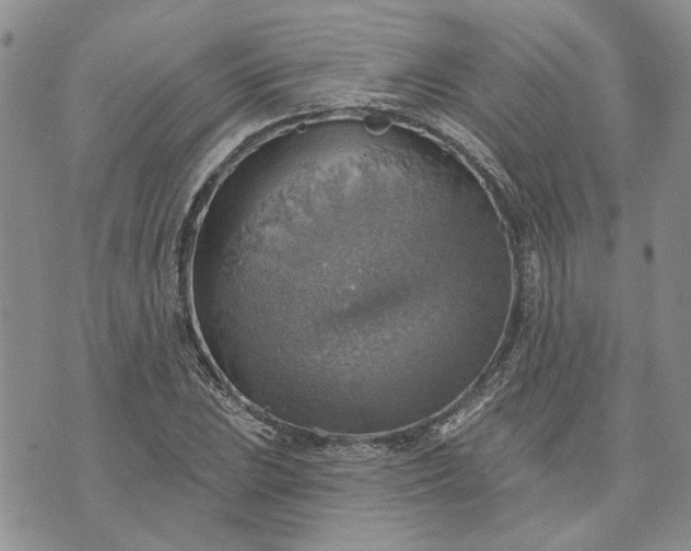 X0000072971023200608041213