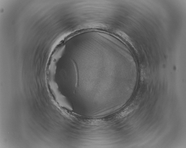 X0000072971024200608041213