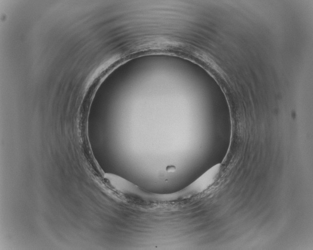 X0000072971026200608041213