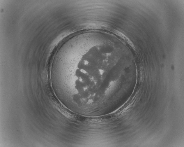 X0000072971027200608041213