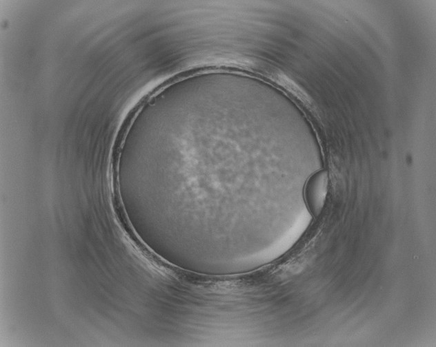 X0000072971028200608041213