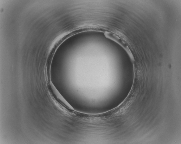 X0000072971030200608041213