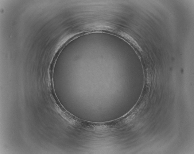 X0000072971031200608041213