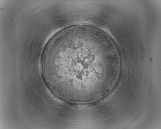 X0000072971032200608041213