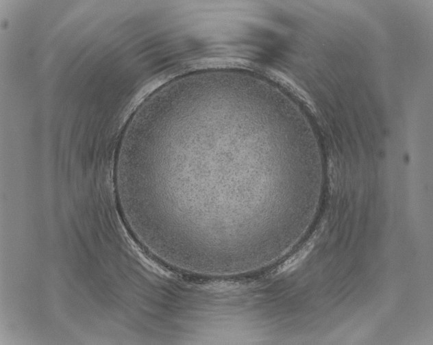 X0000072971033200608041213