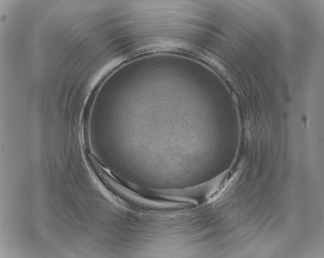 X0000072971034200608041213