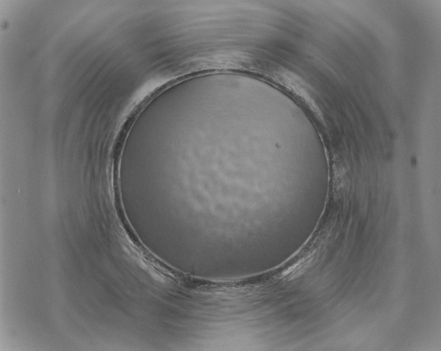 X0000072971035200608041213