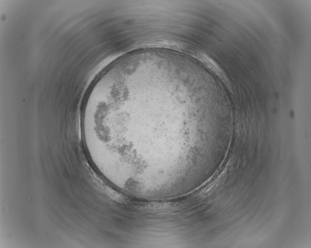 X0000072971036200608041213