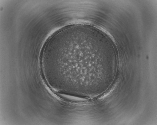 X0000072971037200608041213