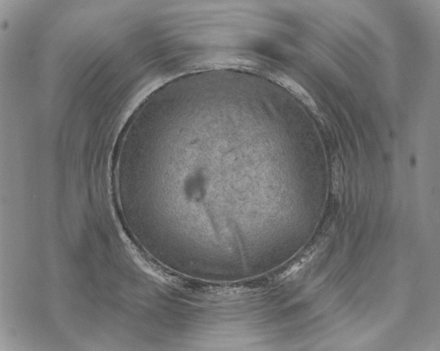 X0000072971039200608041213