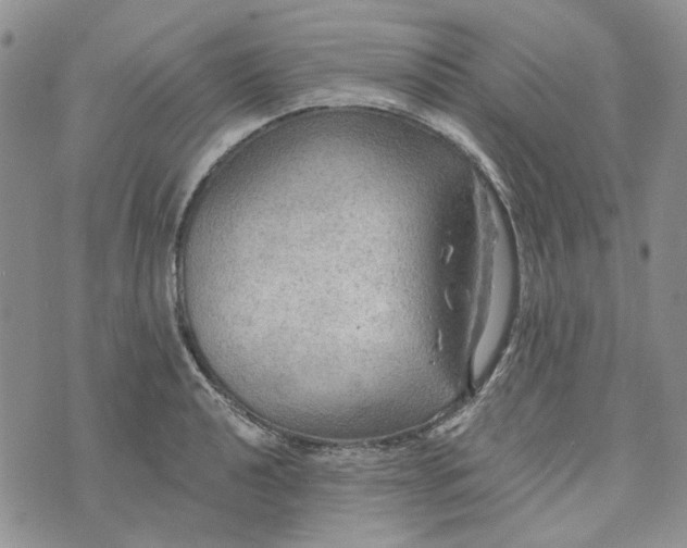 X0000072971040200608041213