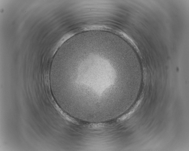 X0000072971041200608041213