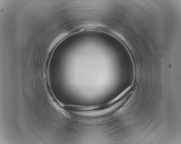 X0000072971042200608041213