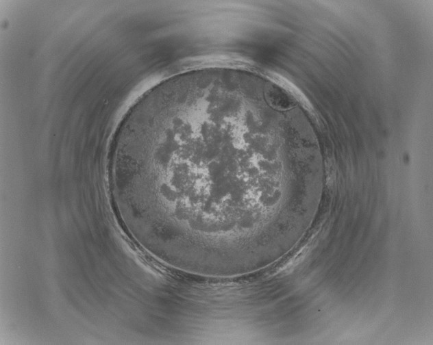 X0000072971043200608041213