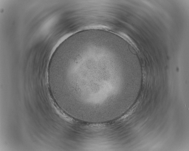 X0000072971044200608041213