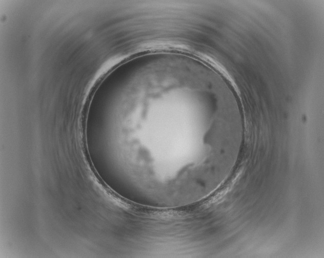 X0000072971045200608041213