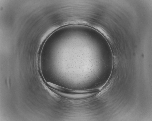 X0000072971046200608041213