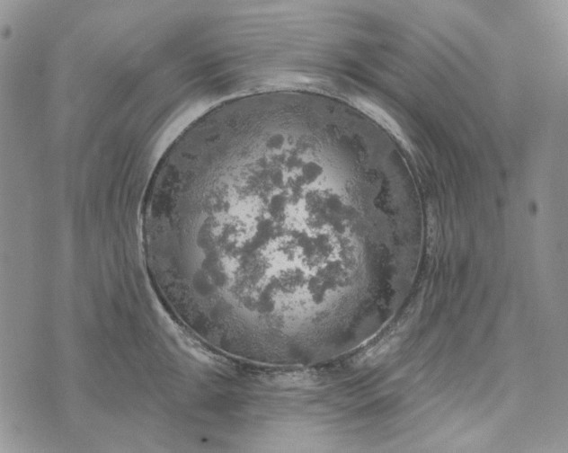 X0000072971047200608041213