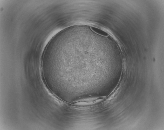 X0000072971048200608041213