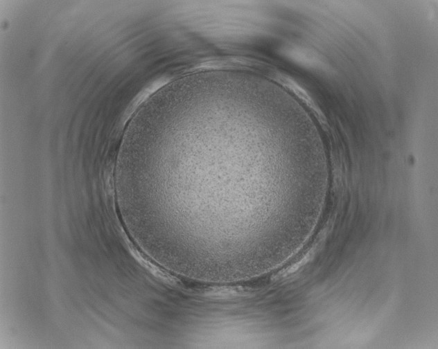 X0000072971049200608041213