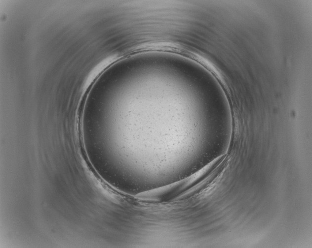 X0000072971050200608041213