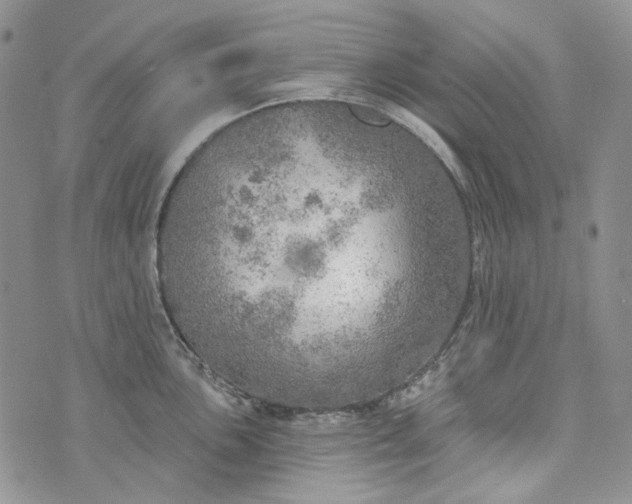 X0000072971051200608041213