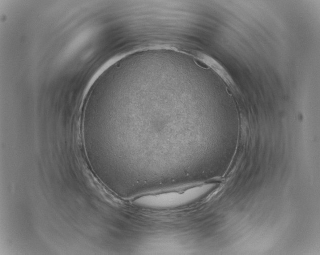 X0000072971052200608041213