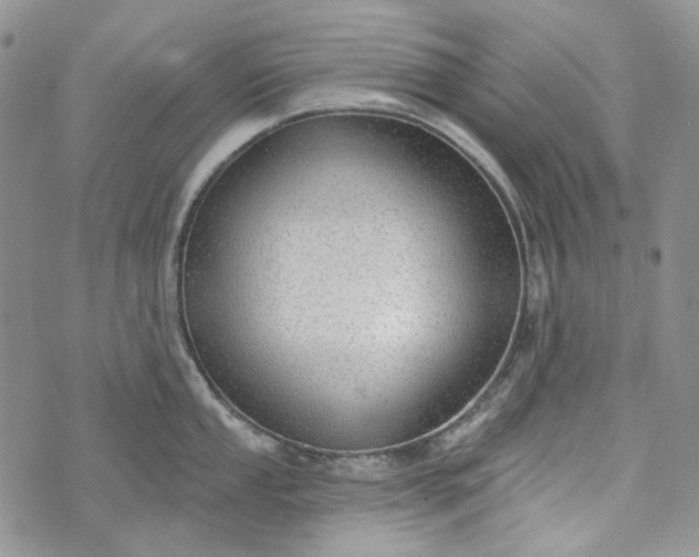 X0000072971053200608041213