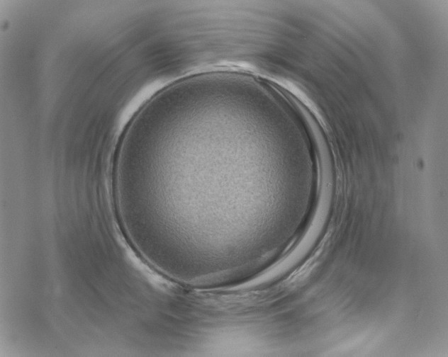 X0000072971054200608041213