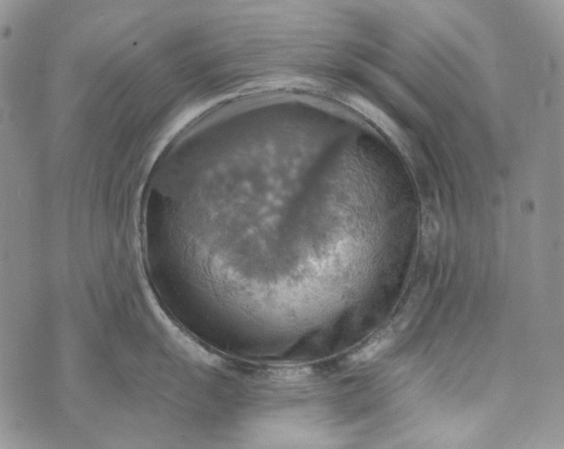 X0000072971055200608041213