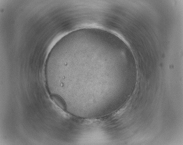 X0000072971056200608041213