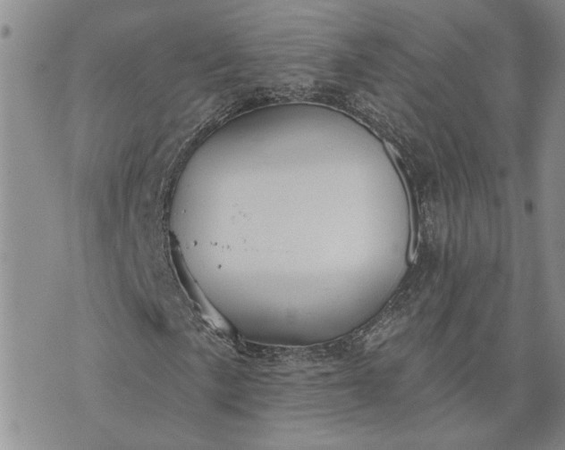 X0000072971057200608041212