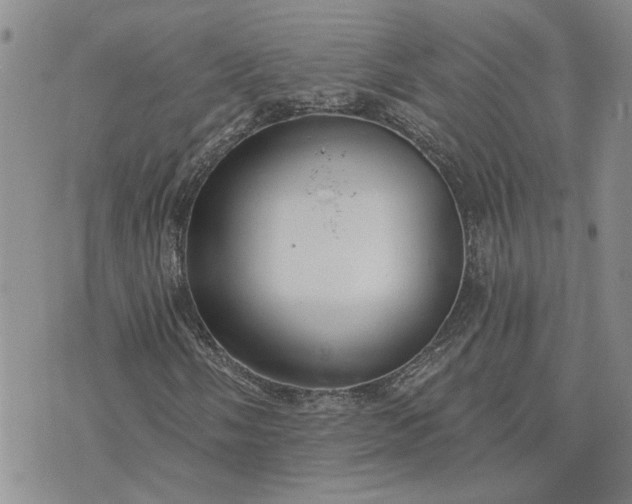 X0000072971058200608041212