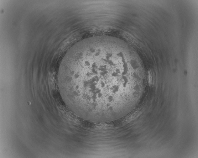 X0000072971059200608041212