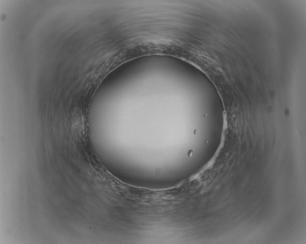 X0000072971061200608041212