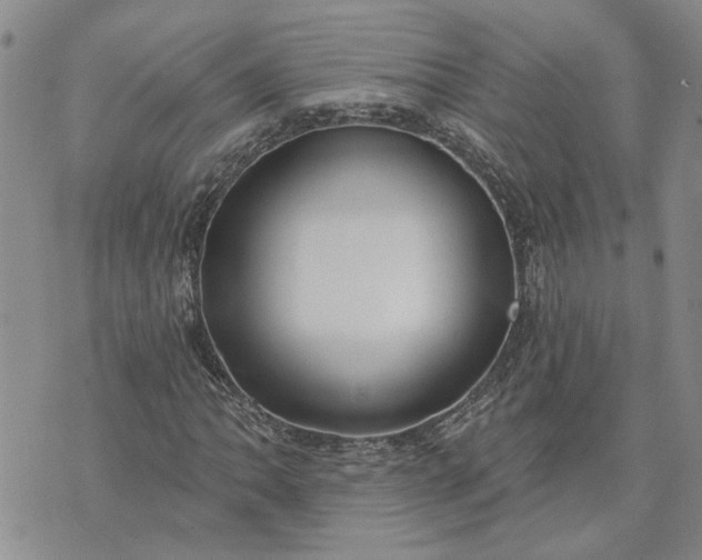 X0000072971062200608041212