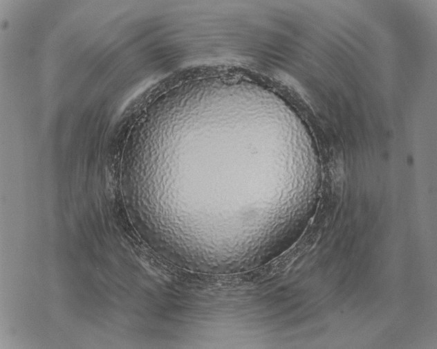 X0000072971064200608041212