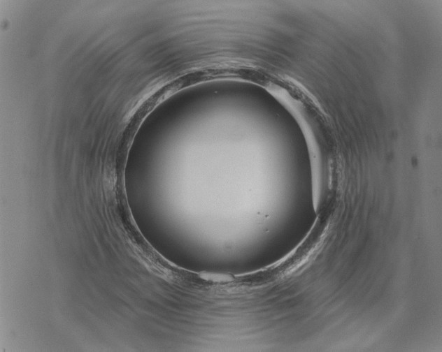 X0000072971065200608041212