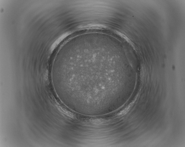 X0000072971066200608041212