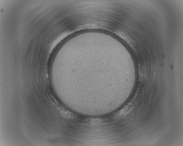 X0000072971070200608041212