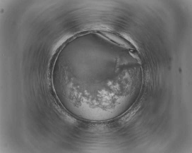 X0000072971071200608041212