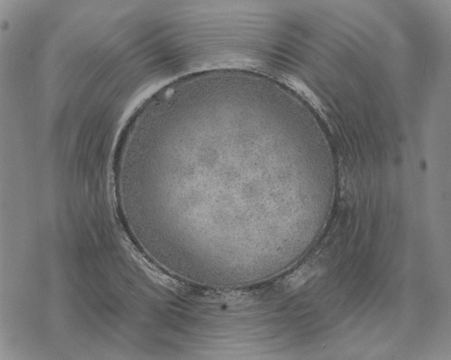 X0000072971072200608041212