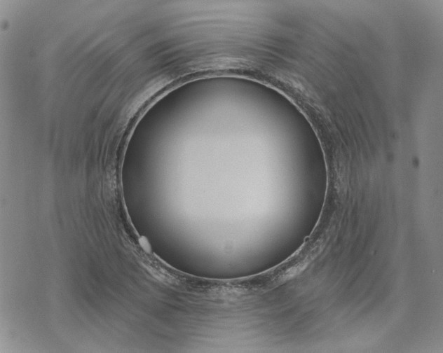 X0000072971073200608041212