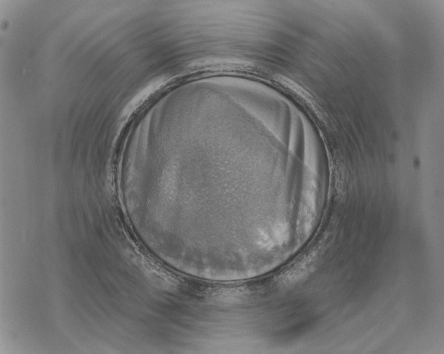 X0000072971074200608041212