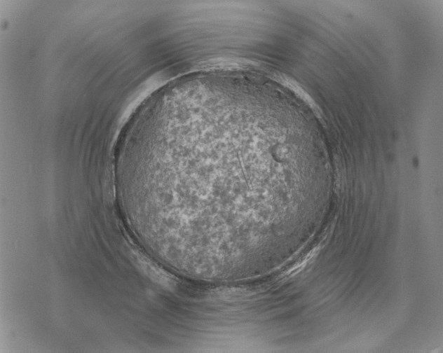 X0000072971075200608041212