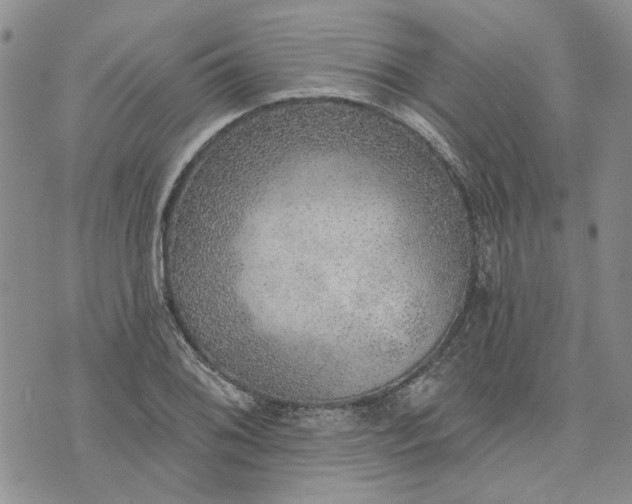 X0000072971076200608041212