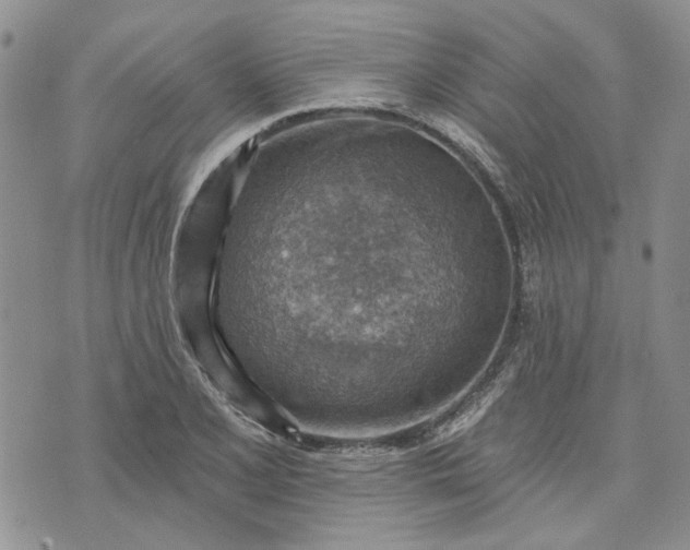 X0000072971077200608041212