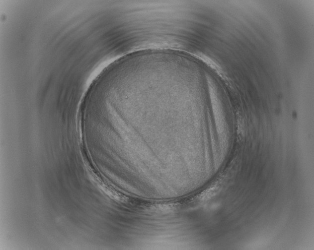 X0000072971078200608041212