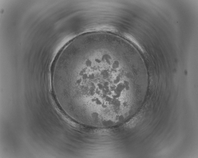 X0000072971079200608041212