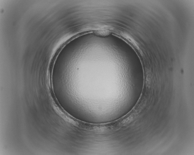 X0000072971080200608041212